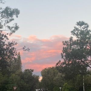 Meet your Posher, Lulu